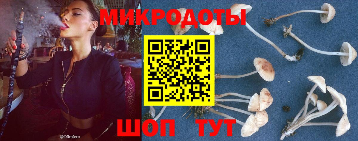 Галлюциногенные грибы мицелий Донской