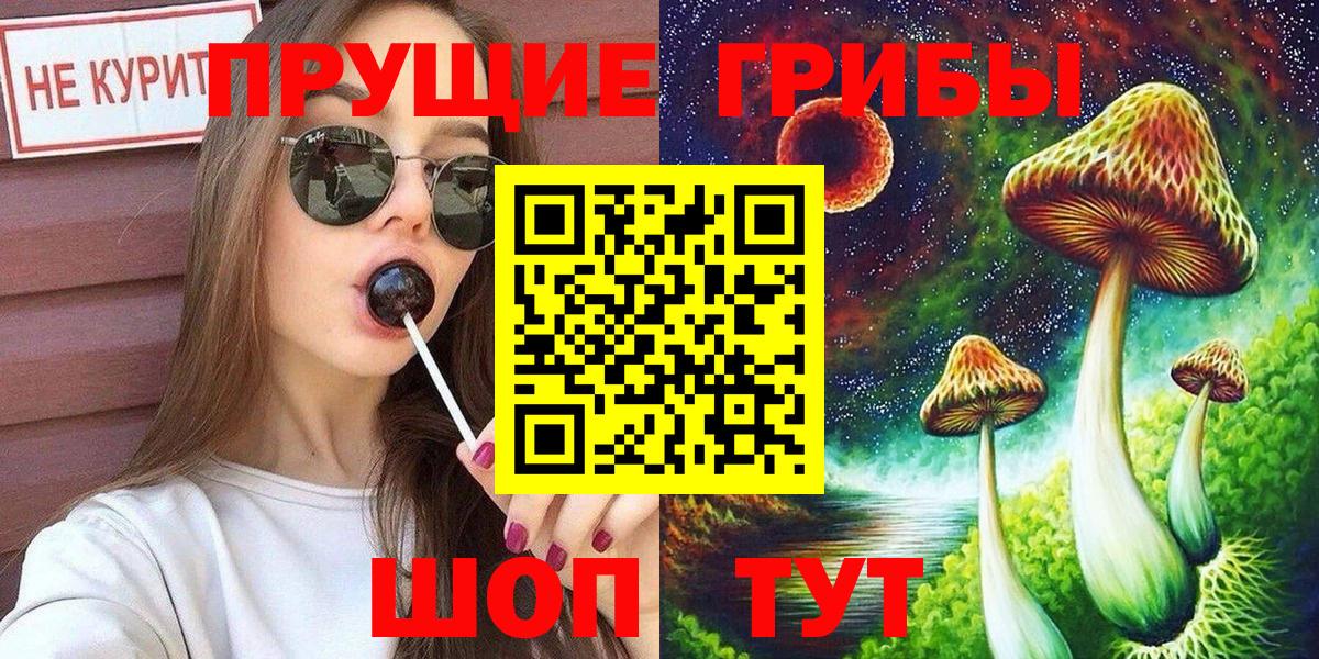 Донской  Псилоцибиновые грибы прущие грибы  Вход с VPN 
